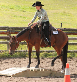 Join the AQHA-NZ